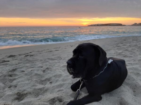 Kuky y Buby House Petfriendly